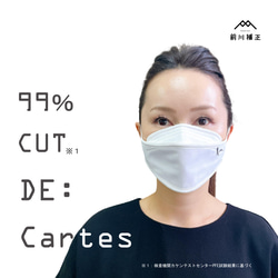 対空間∞DE:Cartes（デカルト）―微粒子99％フィルター内蔵ダイヤモンド形状マスク― 1枚目の画像