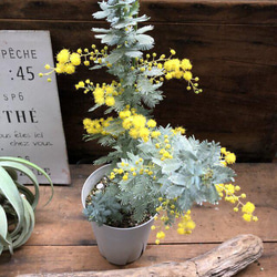 96a77466da20376b00fcefedbf27b8