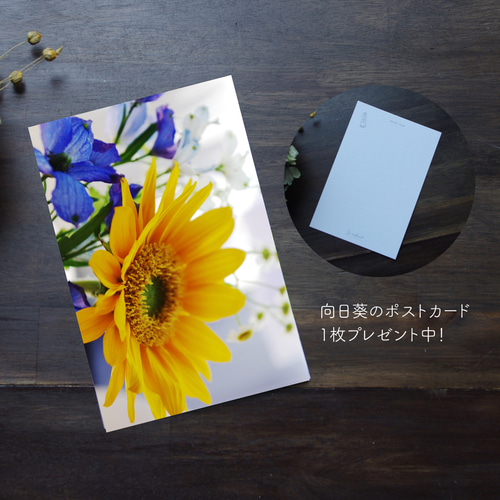 Amazon.co.jp: 風に揺れるミモザ＊4号サイズ 絵画 原画 春 抽象