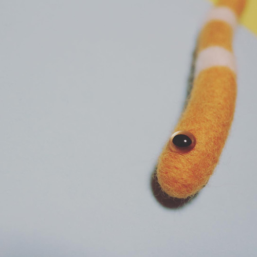 羊毛フェルト》しましまチンアナゴぬいぐるみL 羊毛フェルト Hilona