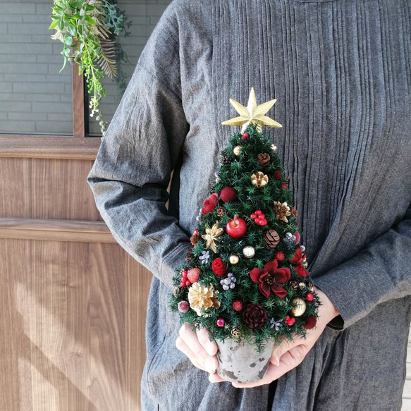 [31cmレッド]本物のヒムロスギとたっぷりの木の実で作る北欧風卓上クリスマスツリー 2枚目の画像