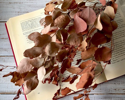 50de11c24c93a62d8fba45678cdf1e