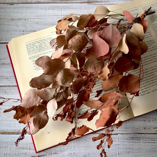 感謝価格‼️ユーカリ＆秋色紫陽花 ナチュラルドライフラワースワッグ