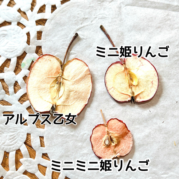ミニミニ 姫りんご ベビーアップル 押しフルーツ 12枚 摘果 素材 キャンドル ハーバリウム レジン 押しフルーツ 3枚目の画像