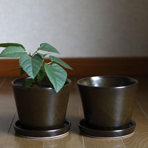 濃い茶色い陶器の植木鉢 (セミマット) (すり鉢タイプ) (ダークブラウン) (受け皿付き) 9枚目の画像