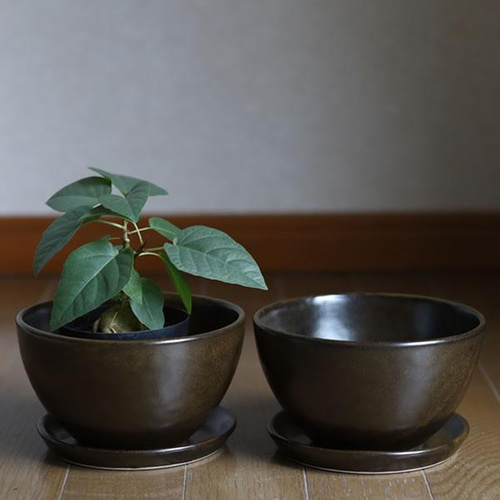 濃い茶色い陶器の植木鉢 (セミマット) (ボールタイプ) (ダークブラウン