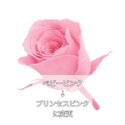 美しさ長持ちのお供え用ガラスドーム　小さめサイズで飾りやすい◎ 10枚目の画像