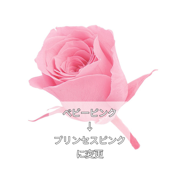 美しさ長持ちのお供え用ガラスドーム　小さめサイズで飾りやすい◎ 10枚目の画像