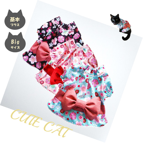 babythree　スーパーレアシークレット　洋服を着てる子猫 babythree スーパーレアシークレット 洋服を着てる子猫