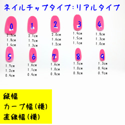 ネイルチップ*No.4 5枚目の画像