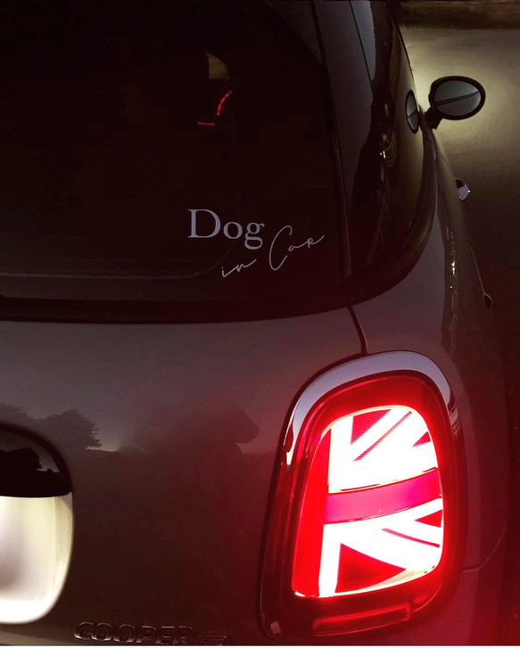 【RECおまけつき】ドッグインカー dog in car LECシール 車ステッカー カーサイン ステッカー 15枚目の画像