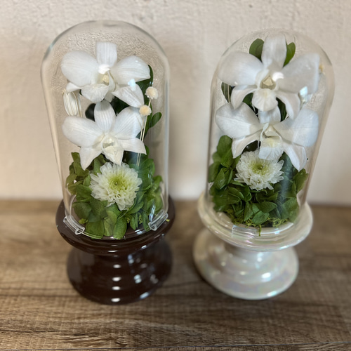 デンファレ ホワイト プリザーブドフラワー 供花 仏花 クリア