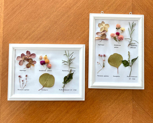 de79bd04cb9d82dc20374aa334aa2f