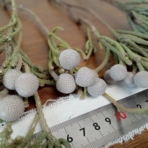 ドライフラワー シルバーブルニア その他素材 Rose｡｡ 通販 12822546