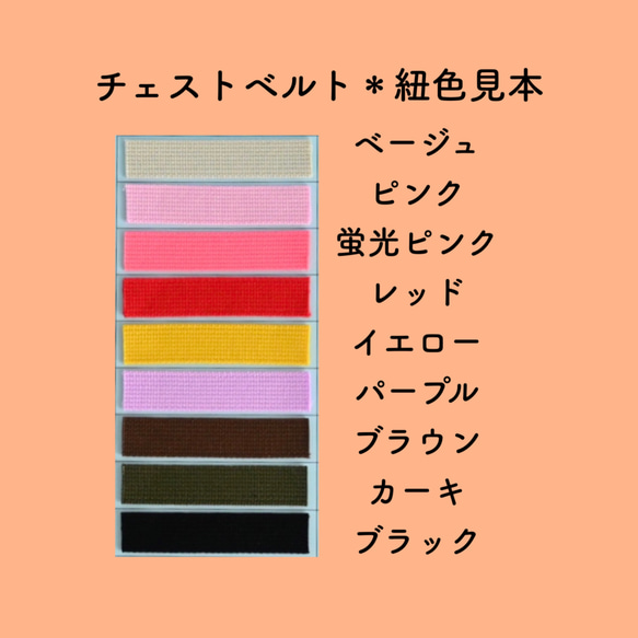 開けやすさを考えたファスナータイプ＊3、4歳くらいからのキッズリュック＊岡山デニム✖️恐竜柄ベージュ 11枚目の画像