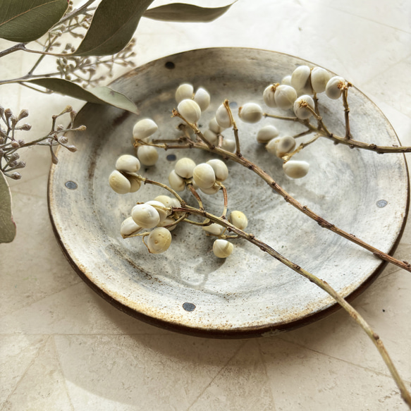 冬の魔法を纏う白い実 - 南京ハゼのドライフラワー その他素材