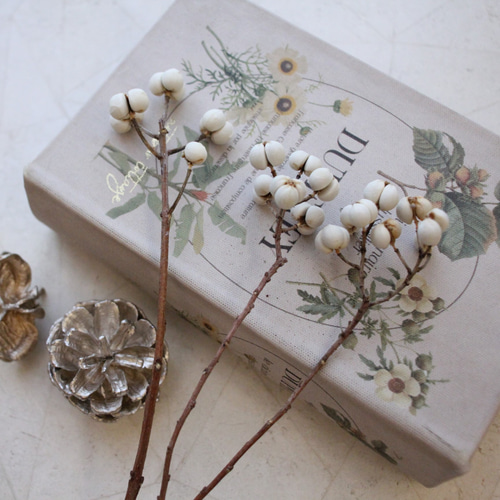 冬の魔法を纏う白い実 - 南京ハゼのドライフラワー その他素材