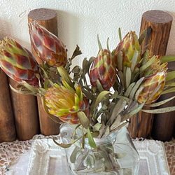 リューカデンドロプルモサム1輪販売❣️ハンドメイド花材ドライフラワー 2枚目の画像