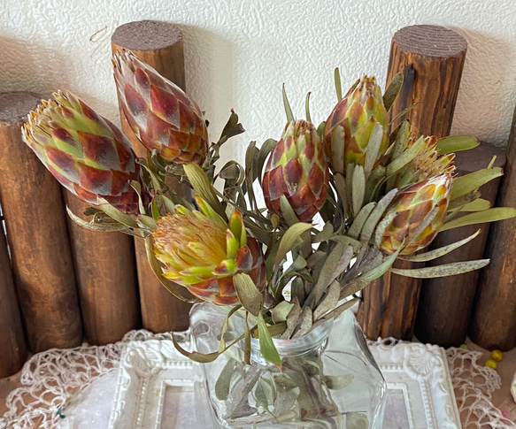 リューカデンドロプルモサム1輪販売❣️ハンドメイド花材ドライフラワー 2枚目の画像