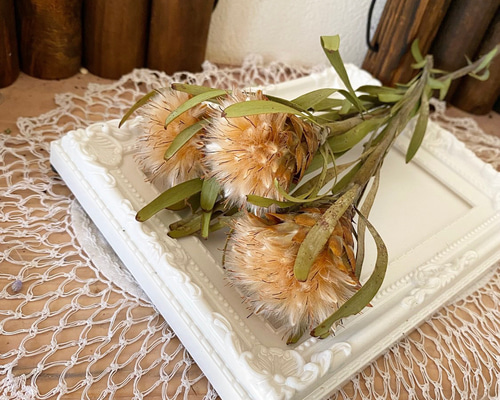 e37ccd5e055471b385f34d3e968993