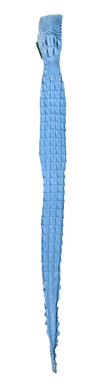 クロコダイル　背ワニ　エキゾチックレザー