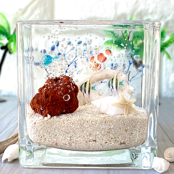 魚の標本 手のひらサイズ