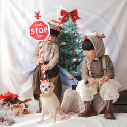 再版：スノードームマット クリスマスタペストリーに♪簡単おうちスタジオ 　　クリスマス飾り 12枚目の画像