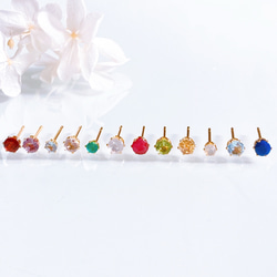 《1月〜12月誕生石》誕生石一粒ポストピアス スタッドピアス サージカルステンレス 14kgf シルバーカラー 誕生日 10枚目の画像