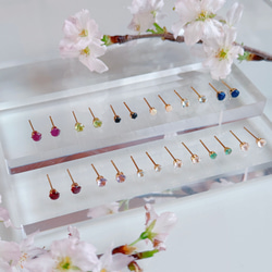 《1月〜12月誕生石》誕生石一粒ポストピアス スタッドピアス サージカルステンレス 14kgf シルバーカラー 誕生日 1枚目の画像