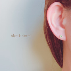 [一月至十二月生日石] 生日石單柱耳環耳環手術不鏽鋼 14kgf 銀色生日 第7張的照片