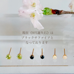 《1月〜12月誕生石》誕生石一粒ポストピアス スタッドピアス サージカルステンレス 14kgf シルバーカラー 誕生日 5枚目の画像