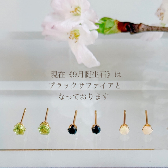 《1月〜12月誕生石》誕生石一粒ポストピアス スタッドピアス サージカルステンレス 14kgf シルバーカラー 誕生日 5枚目の画像