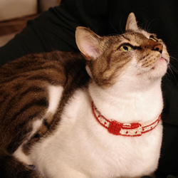 金具を使わない！猫ちゃんにやさしい毛糸の首輪 / 猫の首輪 (ドット 赤) 3枚目の画像