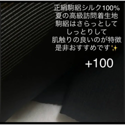 サービス品❁⃘数量限定❁⃘☆185不織布マスクカバー  シンプル花刺繍✨ブラックレース肌面⭐️駒絽シルク100% 6枚目の画像