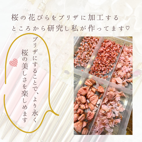 プレゼント に大人気♡ひらり舞う 桜 【ハーバリウムボールペン】名