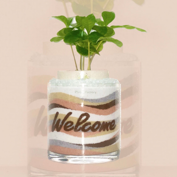 カラーサンドアート/結婚祝い カラーサンドアート/結婚祝い