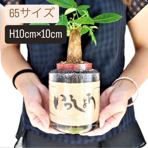 カラーサンド サンドアート サンドセレモニー 結婚祝い名入れ 結婚祝い