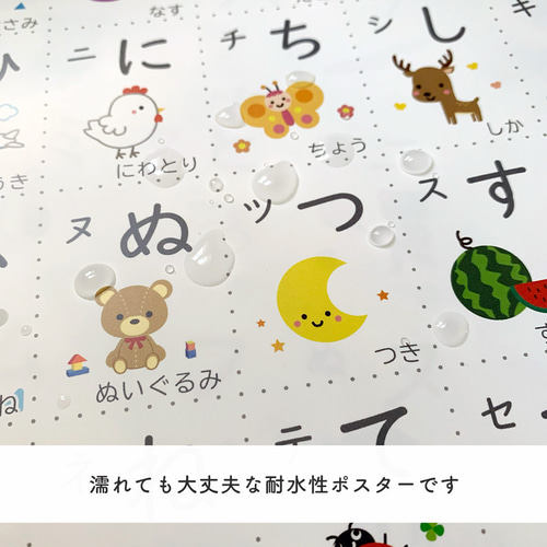 写真ポスターのみ５枚セット お風呂ポスター・まとめて購入（5枚セット）】A3サイズ 防水/ひらがな