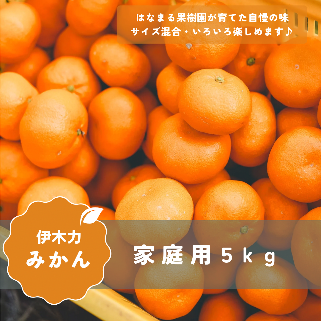 5kg】《長崎・伊木力みかん》家庭用 果物（フルーツ