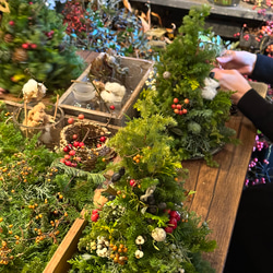 レッスンキット＞2025年☆フレッシュクリスマスツリー材料セット