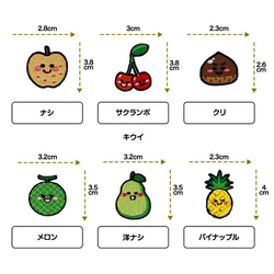 フルーツ 果物 くだもの ワッペン 5枚セット 日本製 子供 マスク シャツ 肌着 タオル 帽子 アイロン 接着 デコる 4枚目の画像