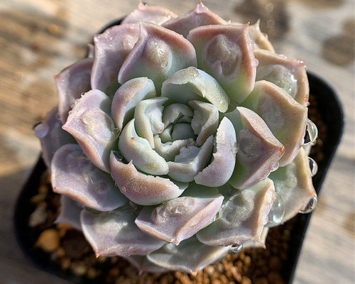 039b28a761e2837f8902700d29ddb3