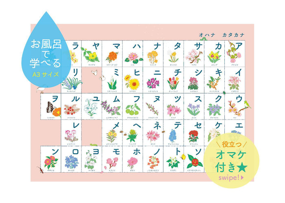 お花の名前アイウエオ表 キッズ 知育 ポスター カタカナ［お風呂対応A3