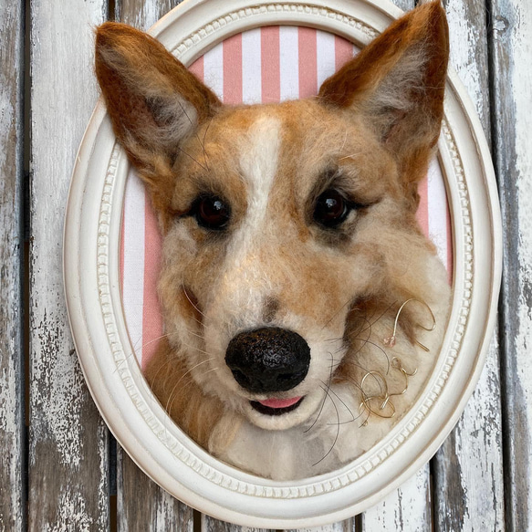 【オーダー例_コーギー_りんちゃん-1】ペットメモリアル、立体似顔絵・ペットロス、羊毛フェルト犬、ポートレート Y1971996162(15000円)