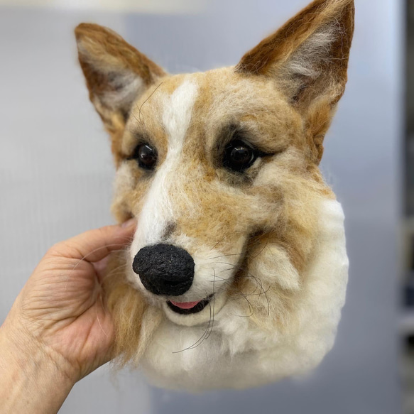 【オーダー例_コーギー_りんちゃん-1】ペットメモリアル、立体似顔絵・ペットロス、羊毛フェルト犬、ポートレート Y1971996162(15000円)