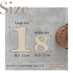 数字切り文字 Middle size 17cm タイプA 2枚目の画像