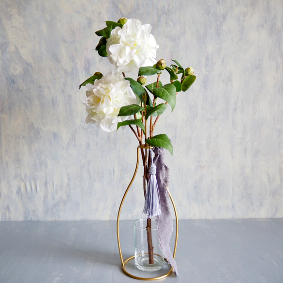 椿さま　2800円 椿さま 2800円 希少品種椿2種セット| 種・苗・ガーデニング用品の【