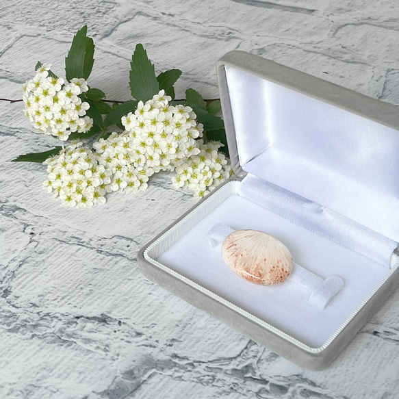 【美麗天然石】灰沸石❖ｽｺﾚｽｻｲﾄの帯留め✤専用Box付き 1枚目の画像
