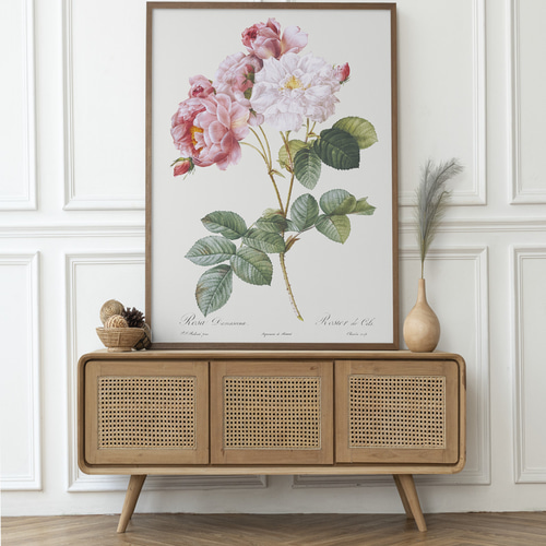 NO.284】ピンク色の薔薇の花フラワーボタニカルアートポスター☆上品母