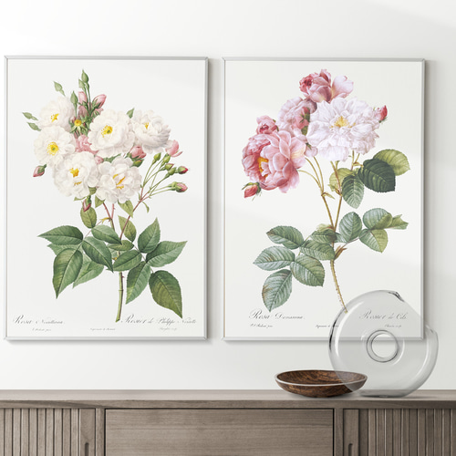 花柄 ピンク ボタニカル フラワーアート 花図鑑 花絵　花柄 花柄アート テクスチャーアート ボタニカル フラワーアート 花の